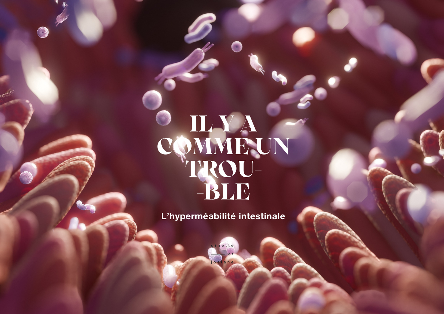 Illustration montrant l'hyperméabilité intestinale et ses effets sur la barrière intestinale