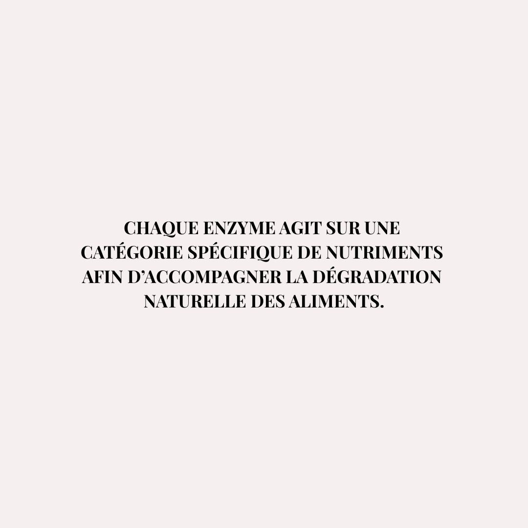 Enzymes digestives – Accompagnement des repas riches en FODMAP – Fart’Astique
