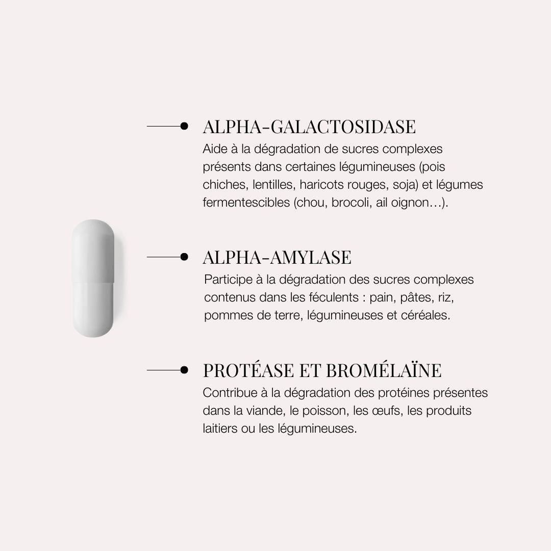 Enzymes digestives – Accompagnement des repas riches en FODMAP – Fart’Astique