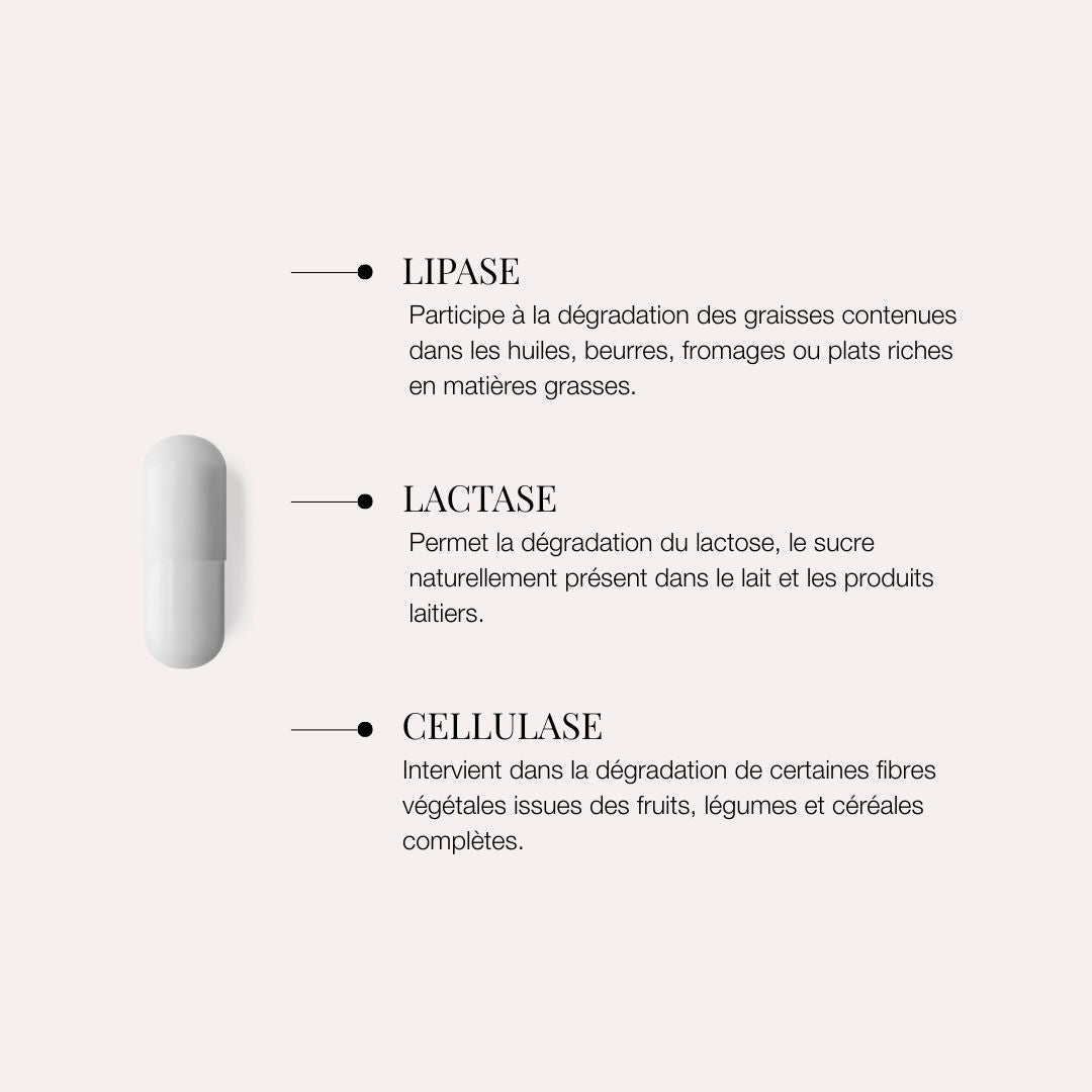 Enzymes digestives – Accompagnement des repas riches en FODMAP – Fart’Astique