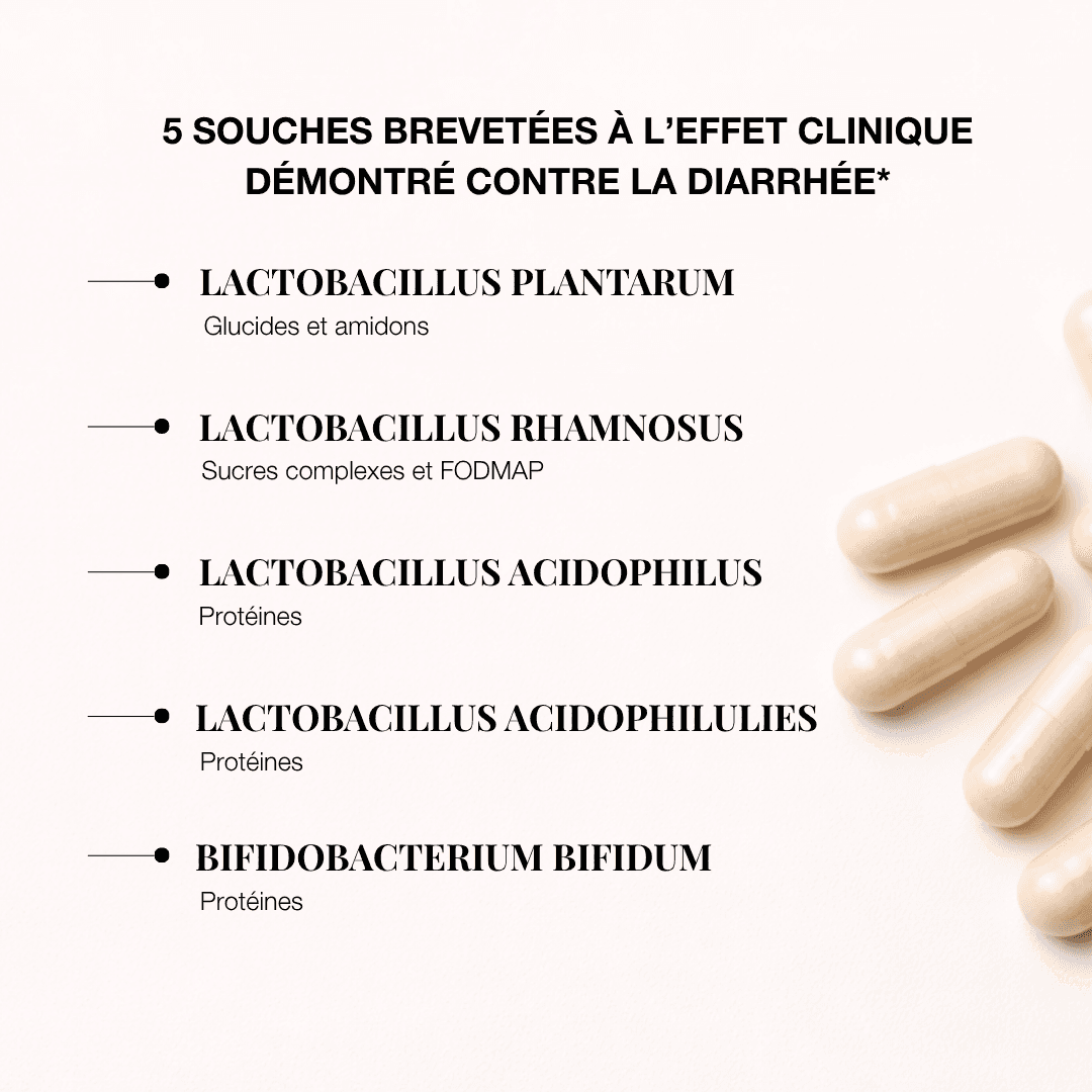 Gélules de prébiotiques et probiotiques avec 5 souches pour la santé intestinale.