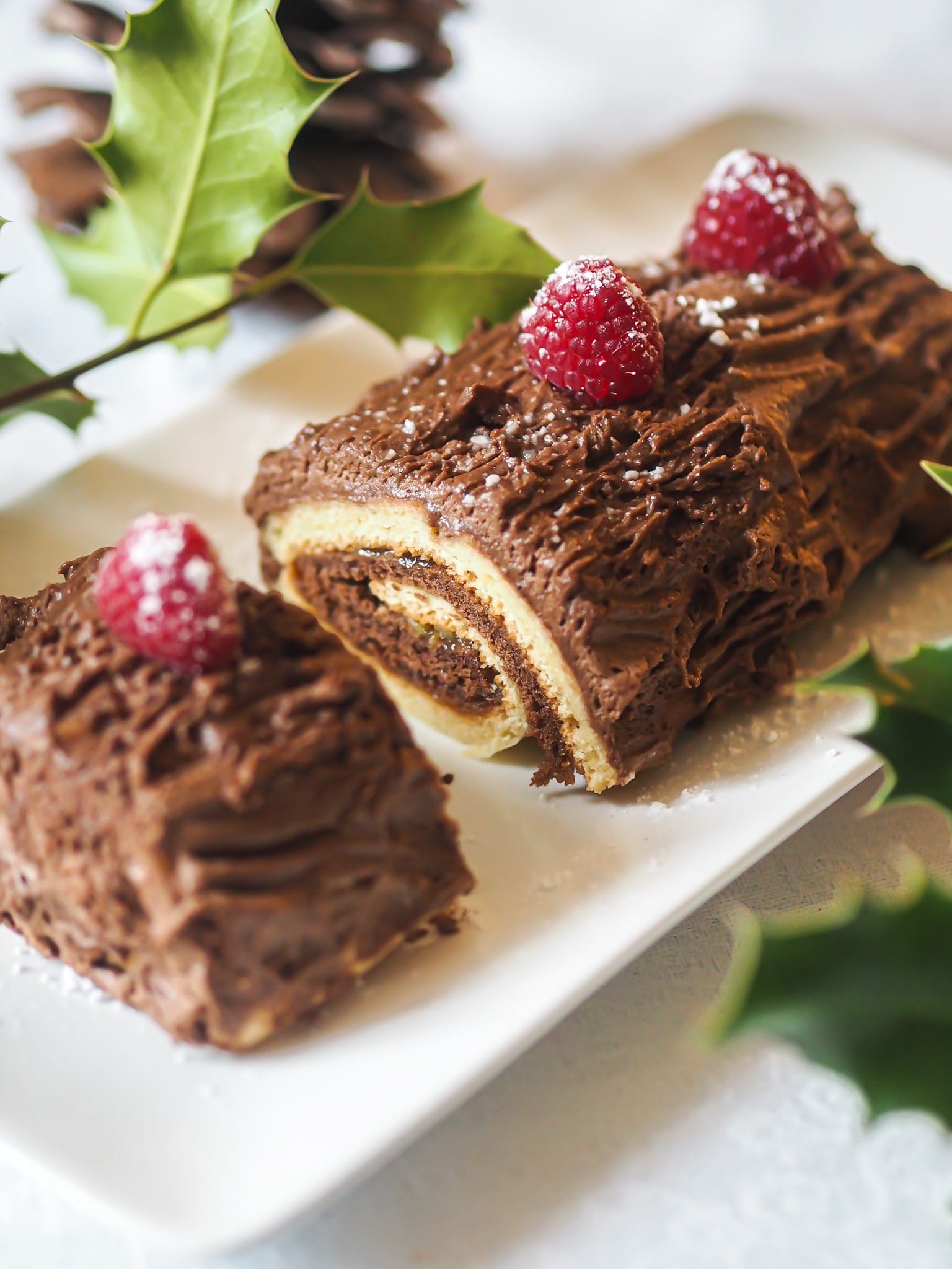 Gâteau roulé au chocolat décoré de framboises, idéal pour des recettes low fodmap