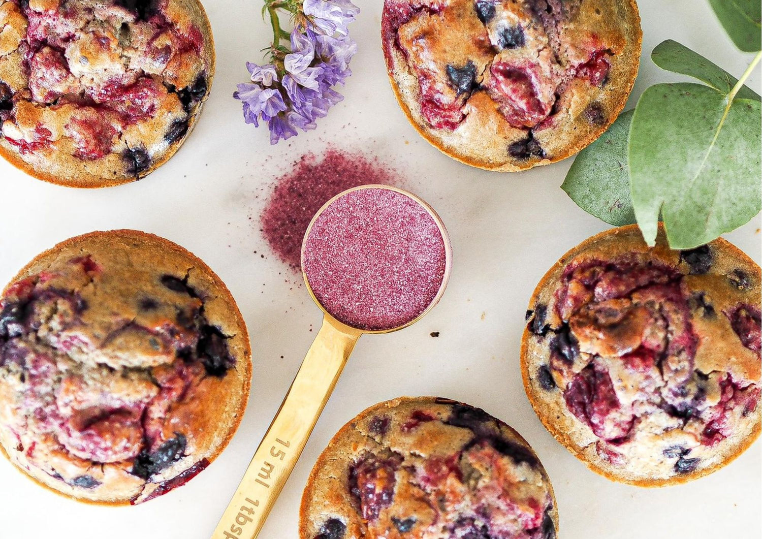 Muffins aux baies riches en fibres haut débit avec cuillère de poudre rose pour une alimentation faible en FODMAP