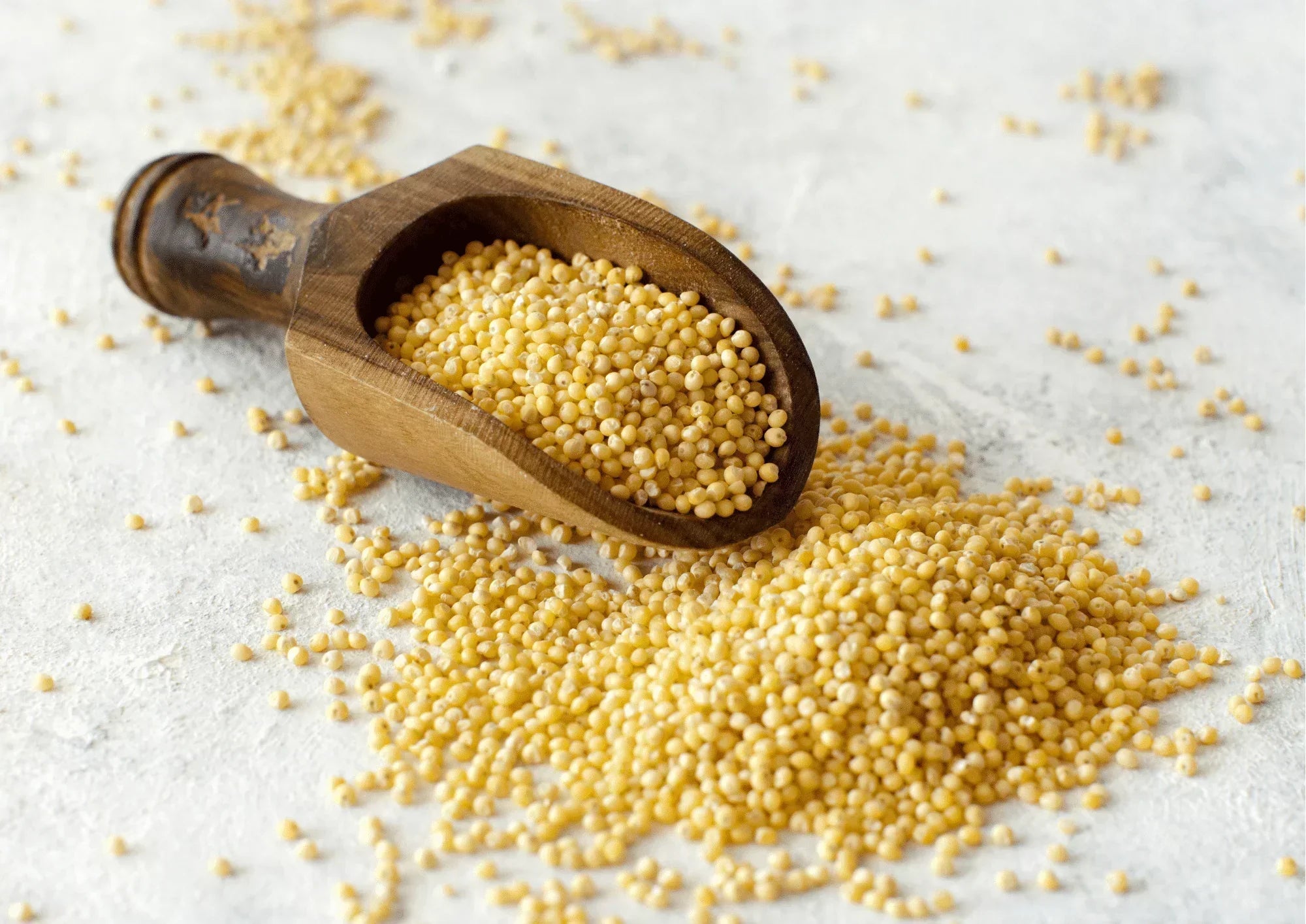 Le millet une céréale qui tape dans le mille ! - Ginette et Josiane