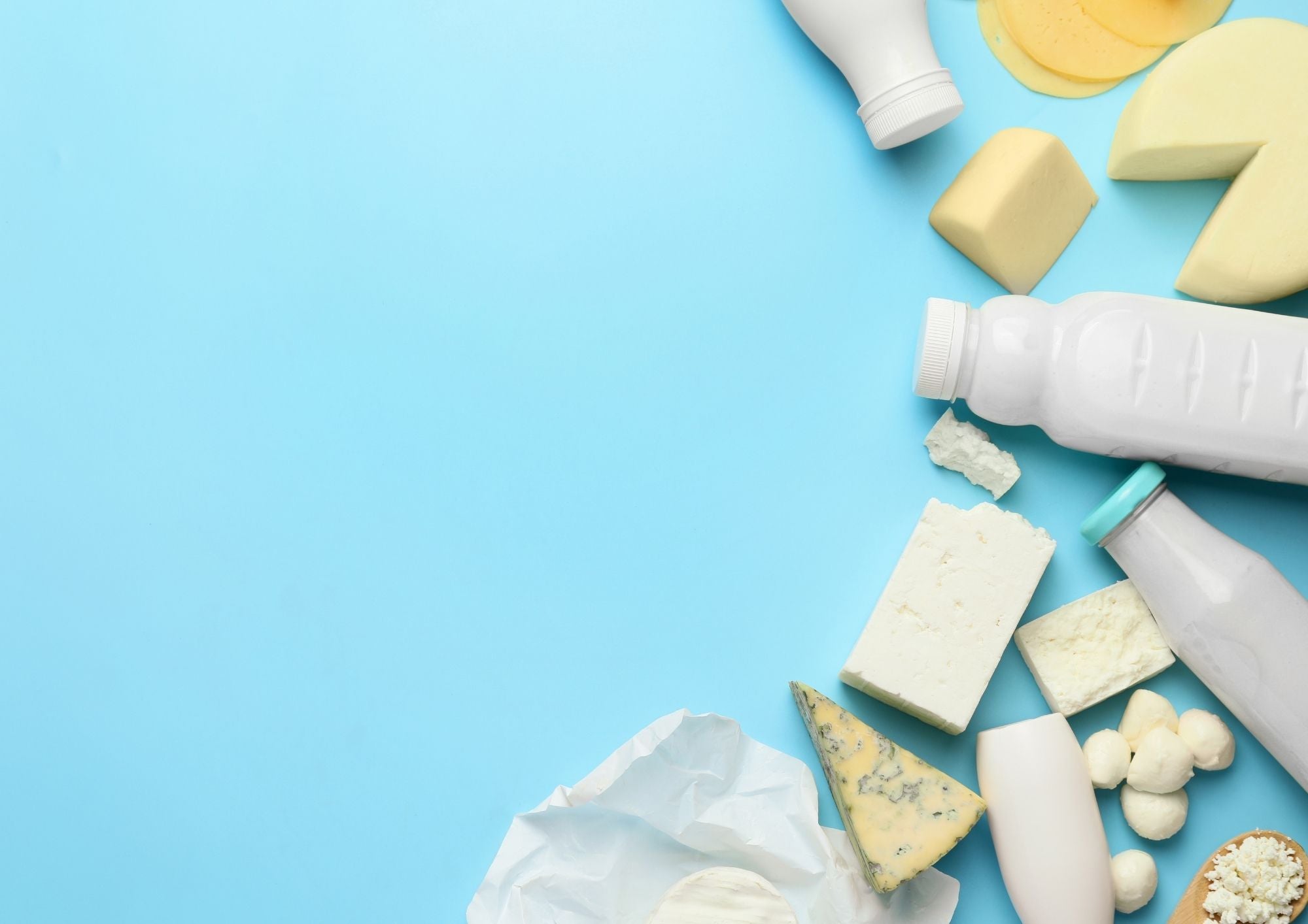 Produits laitiers variés représentant le thème de l'intolérance au lactose : tout comprendre