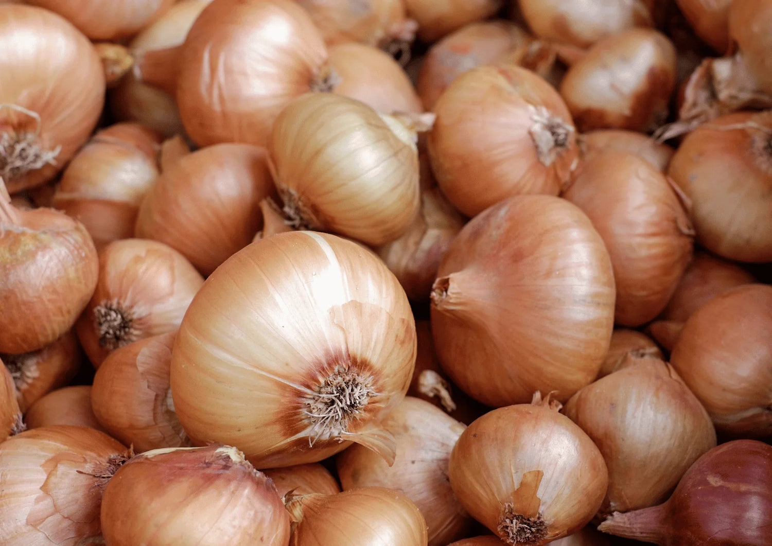 Côlon irritable : les aliments à éviter et ceux à privilégier - Ginette et Josiane