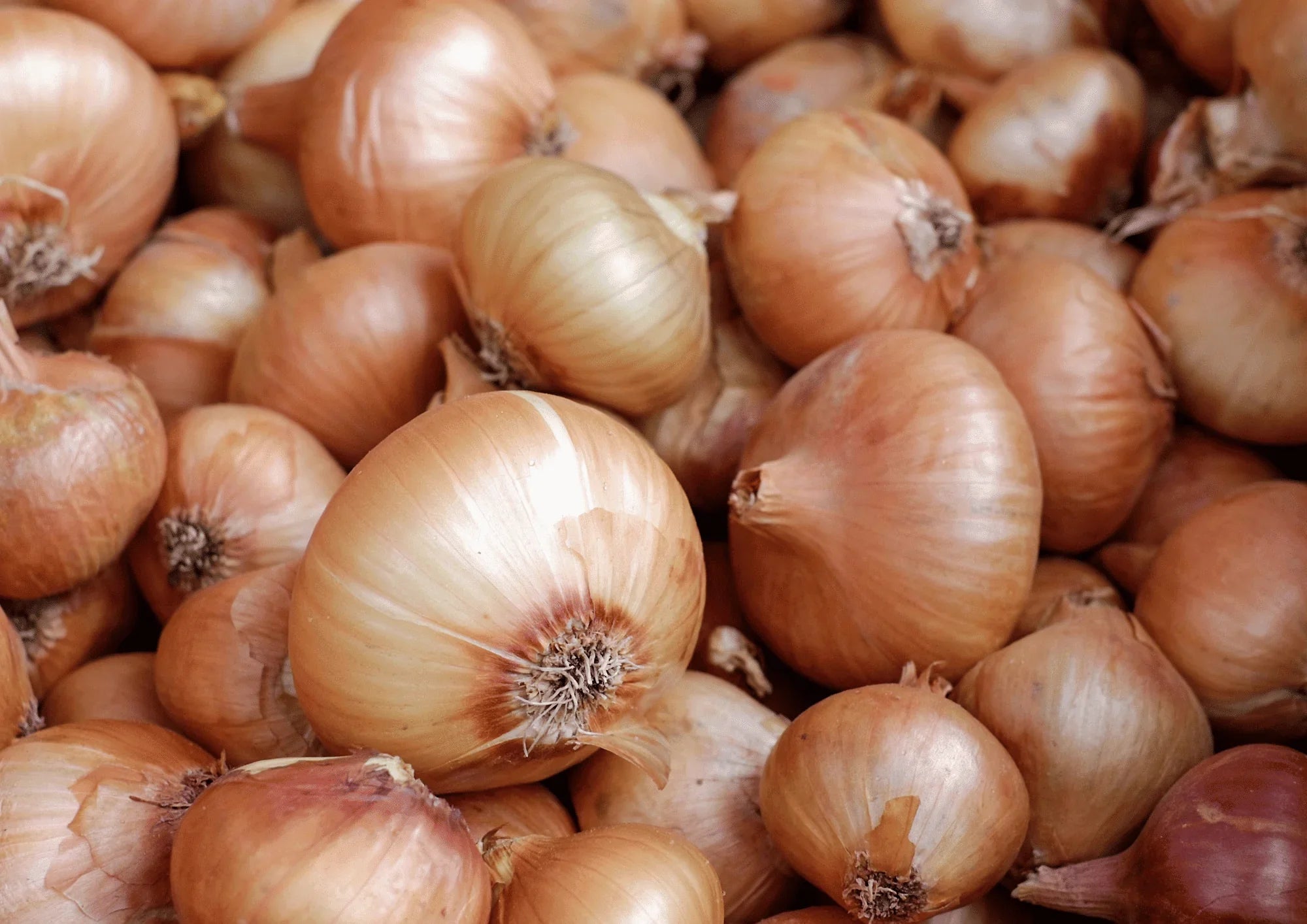 Côlon irritable : les aliments à éviter et ceux à privilégier - Ginette et Josiane