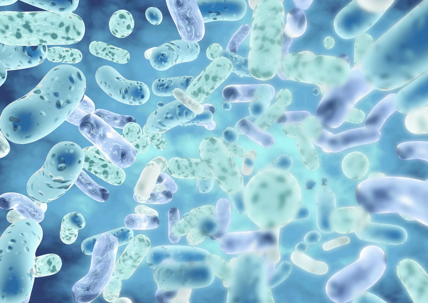 Représentation graphique de probiotiques sous forme de micro-organismes pour améliorer la santé digestive