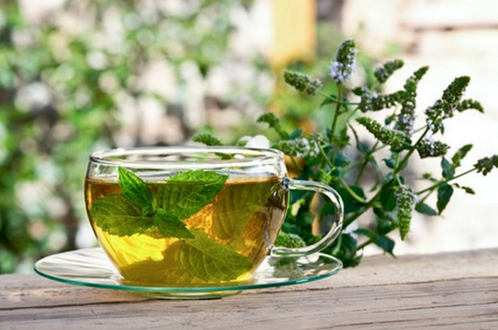 Infusion de menthe dans une tasse, illustrant les plantes pour faciliter la digestion.