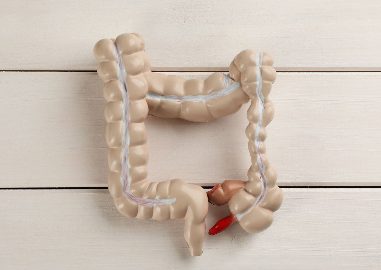 Régime pauvre en FODMAP : bénéfique pour les MICI ou le SIBO ?