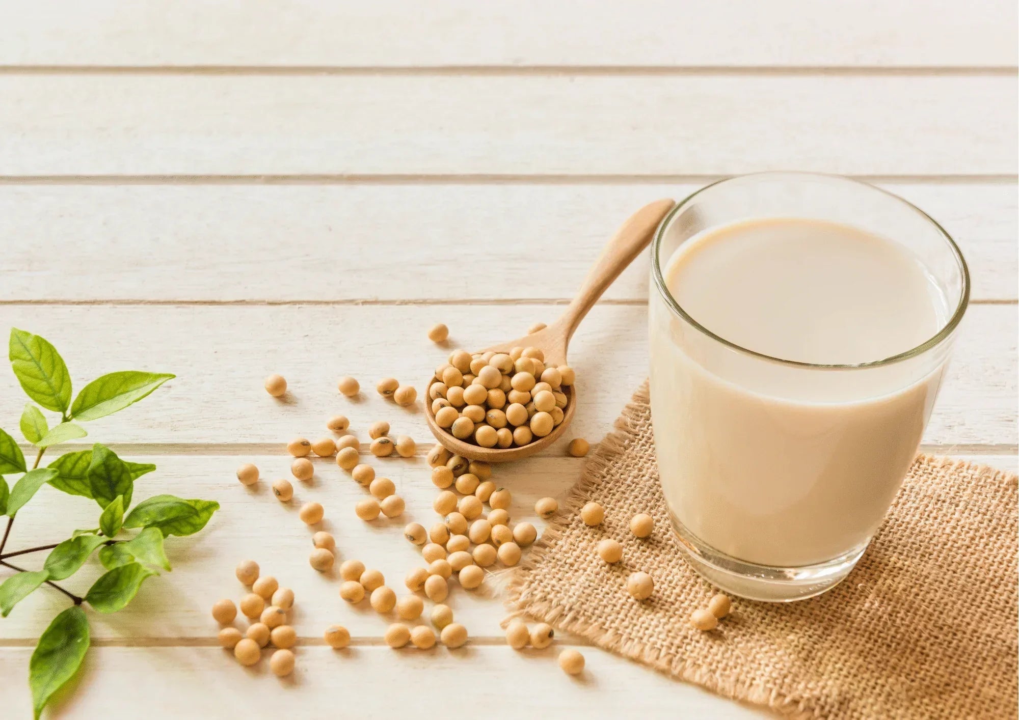 Verre de lait de soja avec des grains de soja sur une cuillère en bois sur table en bois clair
