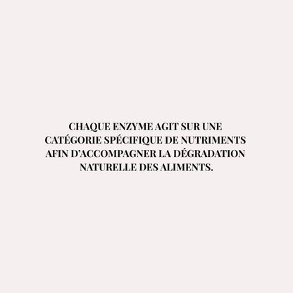 Enzymes digestives – Accompagnement des repas riches en FODMAP – Fart’Astique