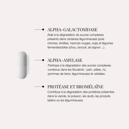 Enzymes digestives – Accompagnement des repas riches en FODMAP – Fart’Astique