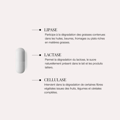 Enzymes digestives – Accompagnement des repas riches en FODMAP – Fart’Astique