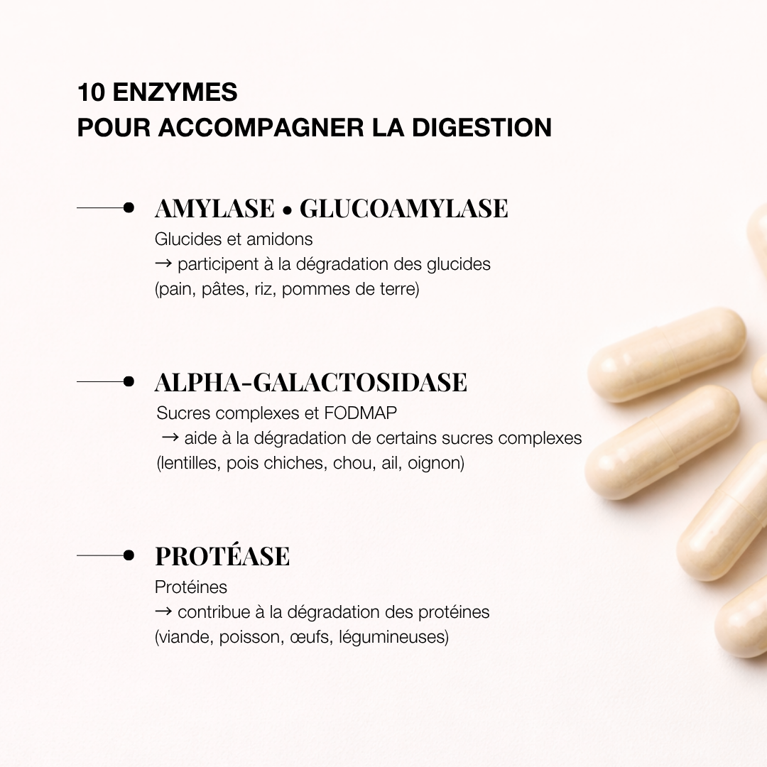 Complément alimentaire 10 enzymes digestives pour améliorer la digestion des glucides et des protéines