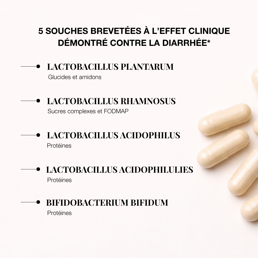 Gélules de prébiotiques et probiotiques avec 5 souches pour la santé intestinale.
