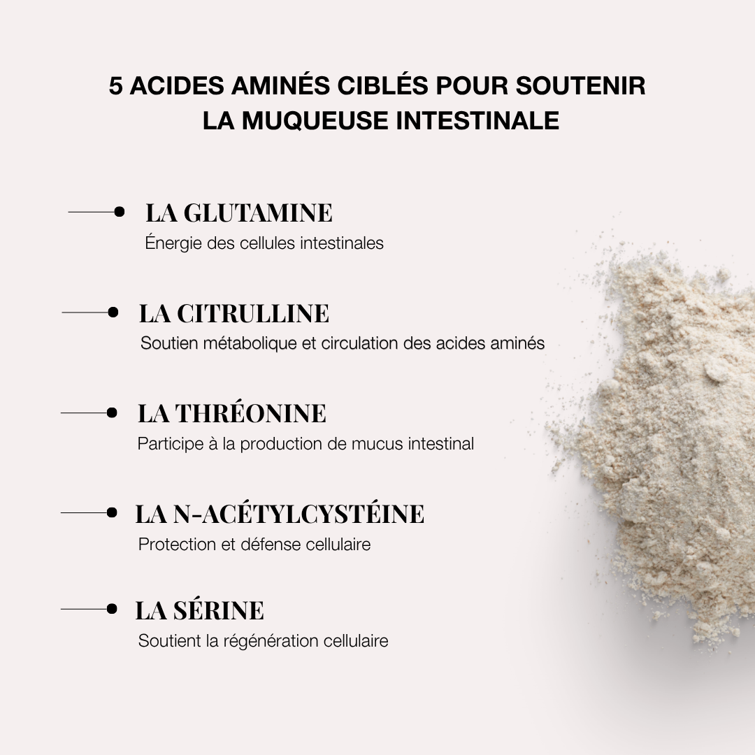L-Glutamine supplément pour soutenir la muqueuse intestinale et l&